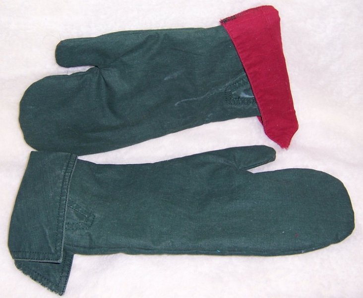 Kelly oven mitts.JPG